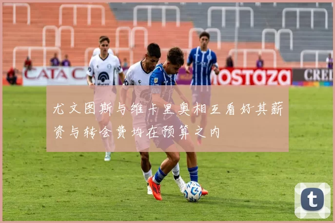 尤文图斯与维卡里奥相互看好其薪资与转会费均在预算之内