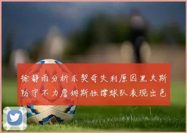 徐静雨分析东契奇失利原因里夫斯防守不力詹姆斯独撑球队表现出色