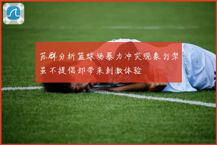 苏群分析篮球场暴力冲突现象打架虽不提倡却带来刺激体验